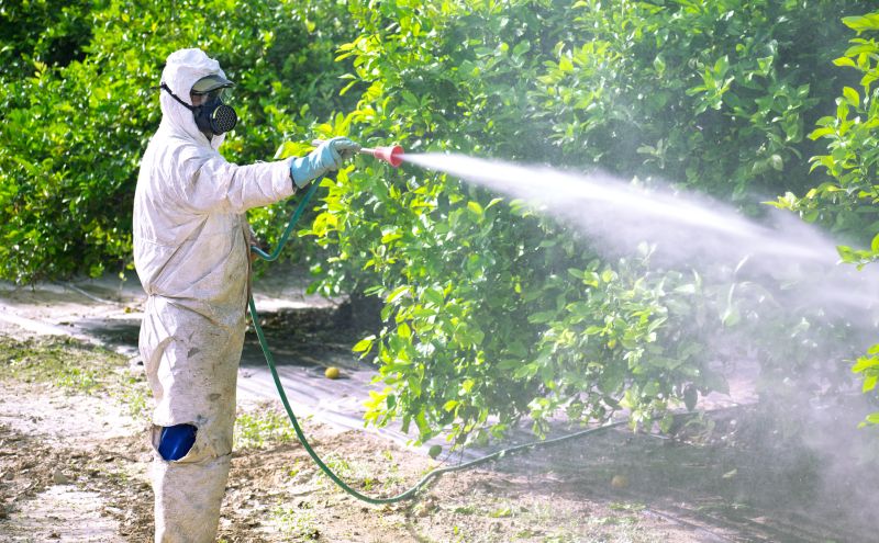 Fumigation Service in Bellingham, WA