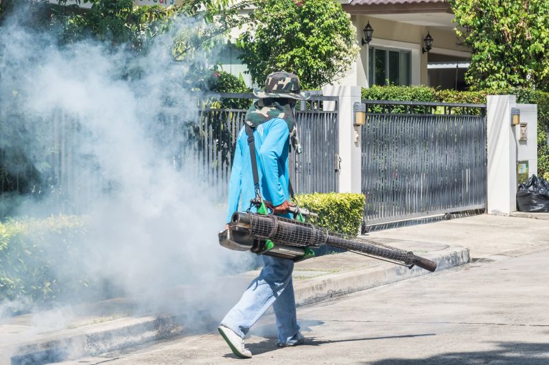 Roach Fumigation in Tampa, FL