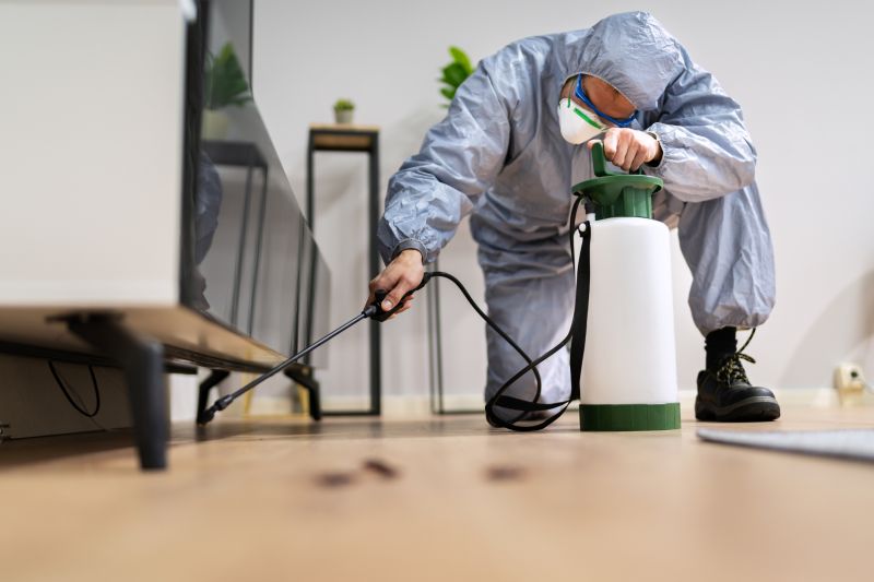 Rat Fumigation Service in Columbus, OH