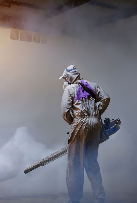Spider Fumigation Service in Winston Salem, NC